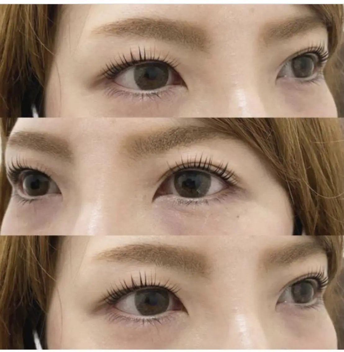 マツエク・マツパ Bunny eyes NEWOTANI博多の眉毛・アイブロウイメージ