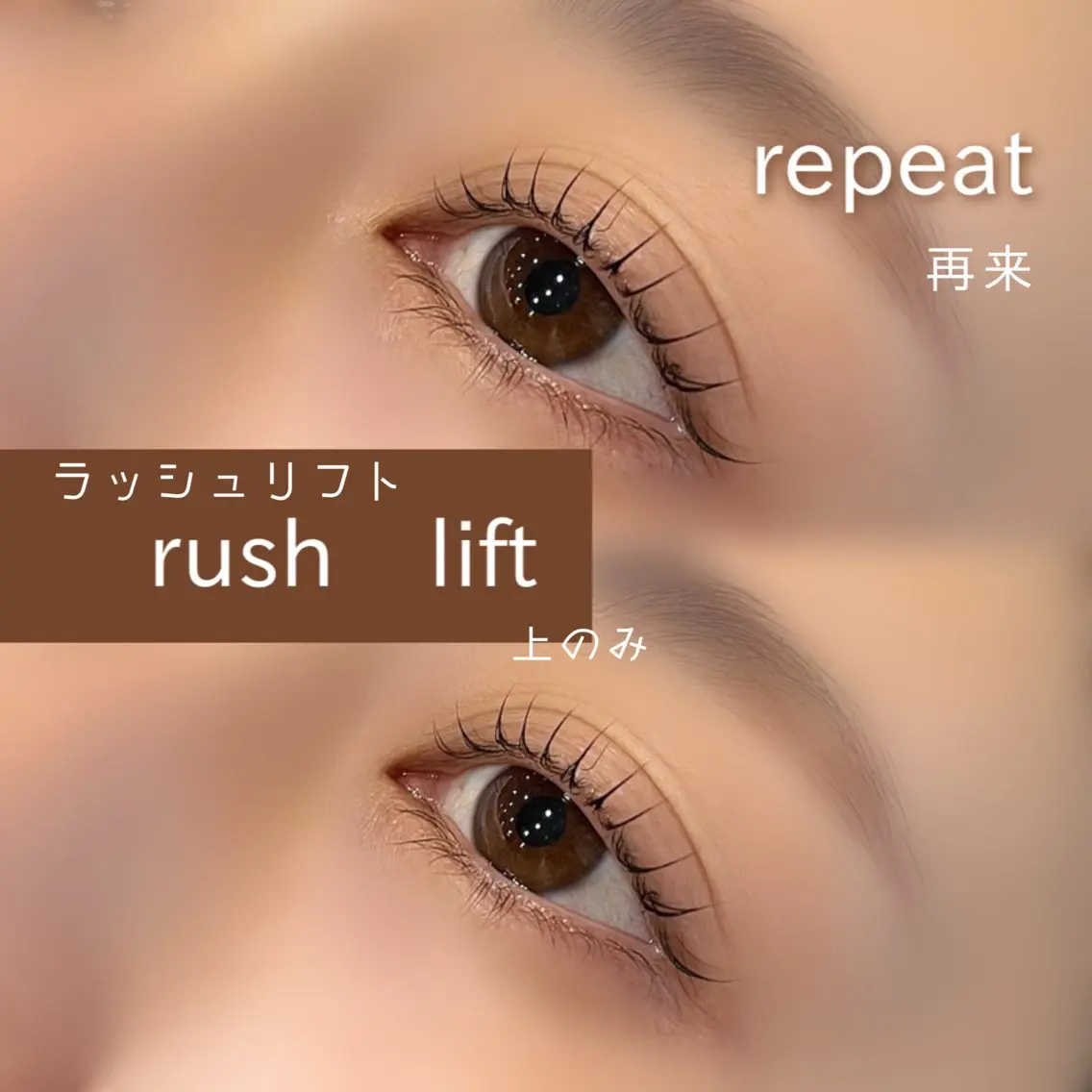 【コーティング込み🌟】上のみラッシュリフト👀🫶の写真