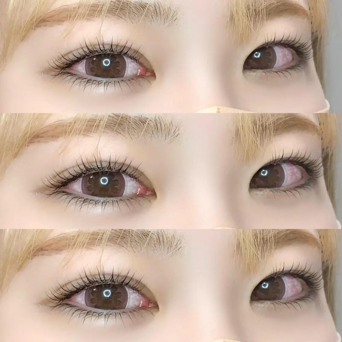 マツエク・マツパ eyelash "Koa"🕊🤎のマツエク・マツパデザイン