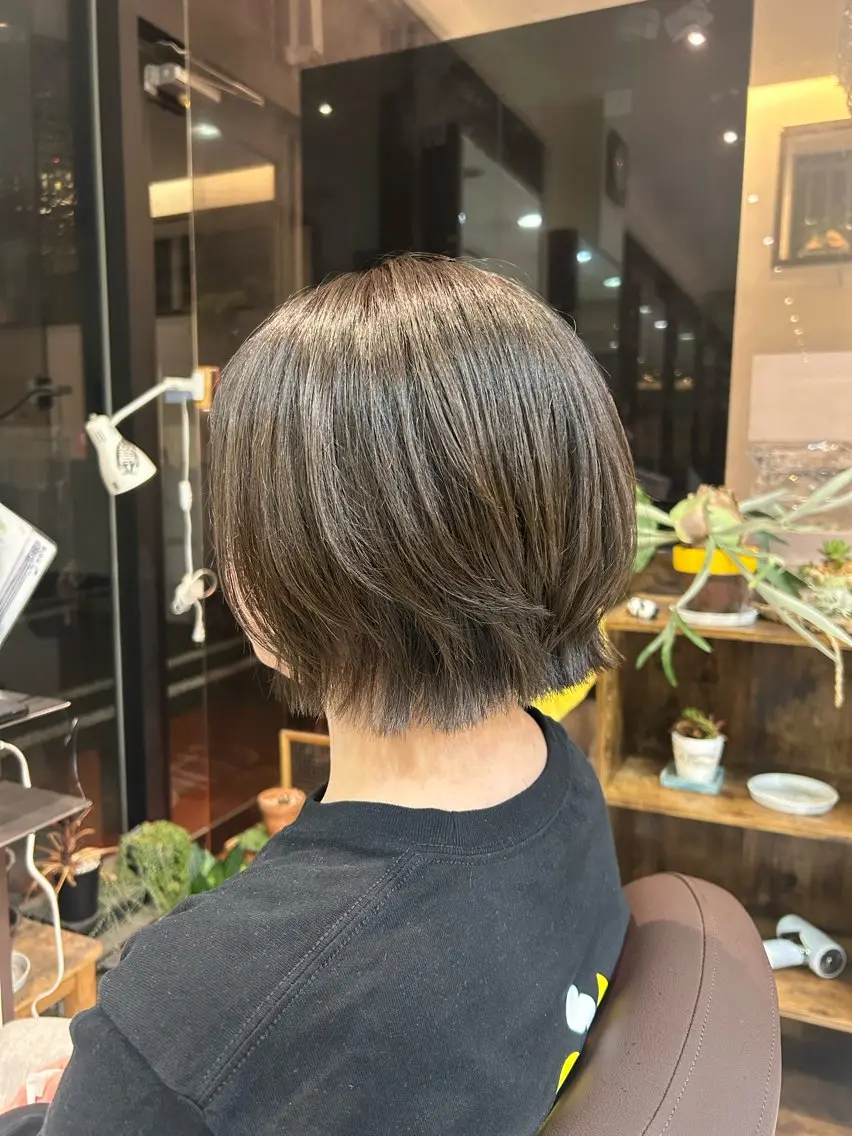 ショートカットモデルの写真