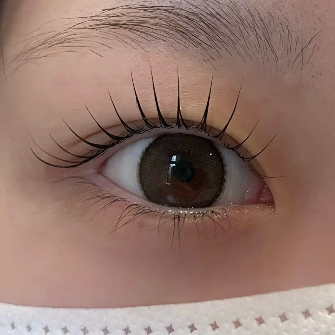 マツエク・マツパ 一重×まつ毛パーマ マツパ 眉毛/まつ毛/代官山 アイサロン🌻NAEのマツエク・マツパデザイン