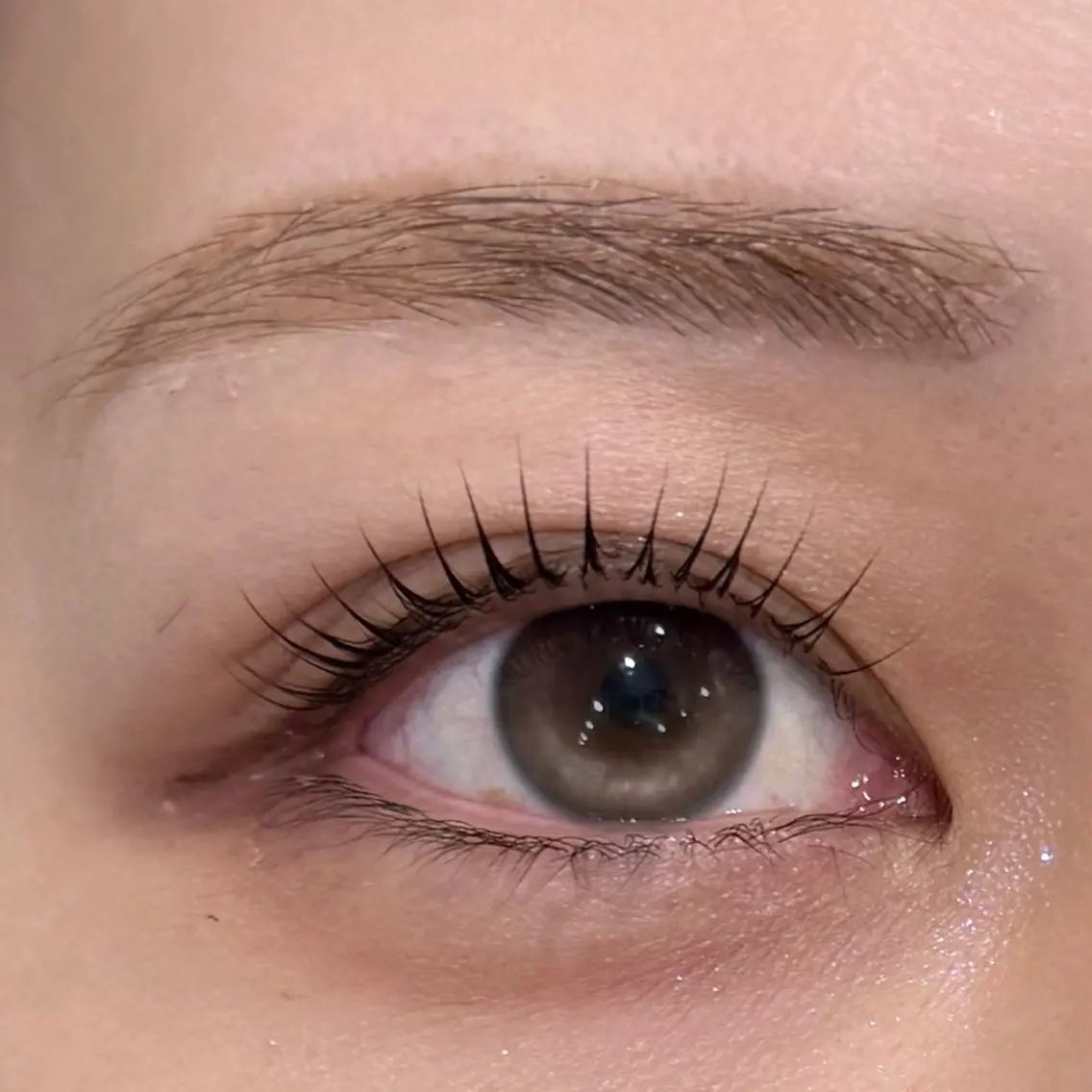 セットメニュー💫 Lash lift × eyebrow wax🫧の写真