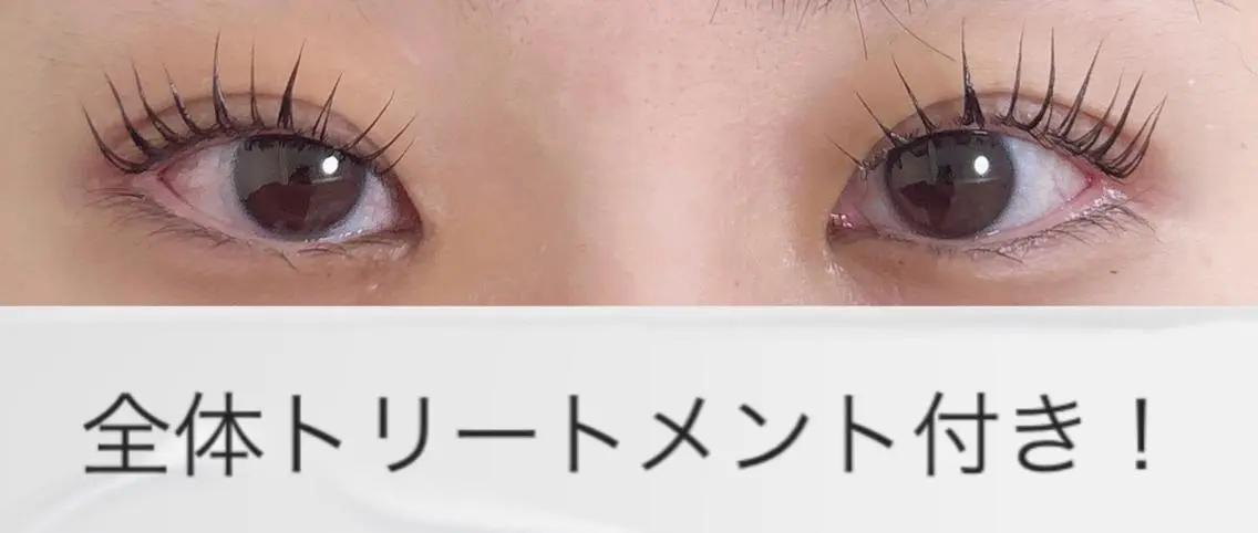 マツエク・マツパ 30分まつ毛パーマ Swallowのマツエク・マツパデザイン
