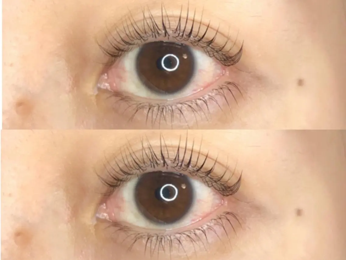 マツエク・マツパ 《eyelash ｉｉｔｅ》森のマツエク・マツパデザイン
