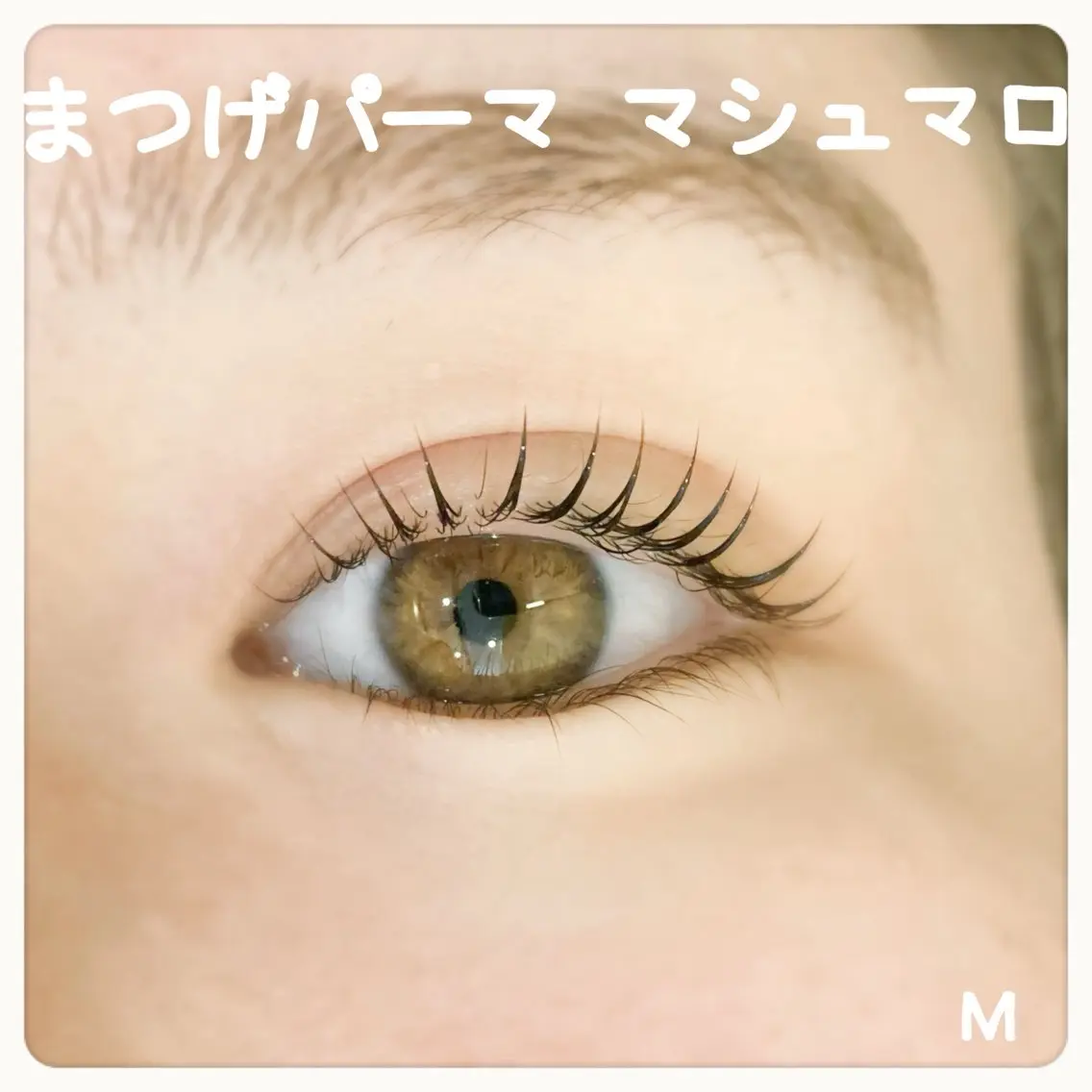 【現金払い】まつげパーマ（トリートメント付）の写真