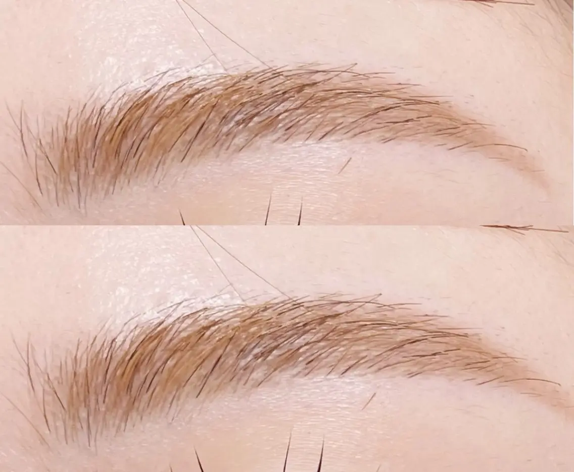 【Jr.アイリストデビュー記念🎉】✨WAX脱毛✨の写真