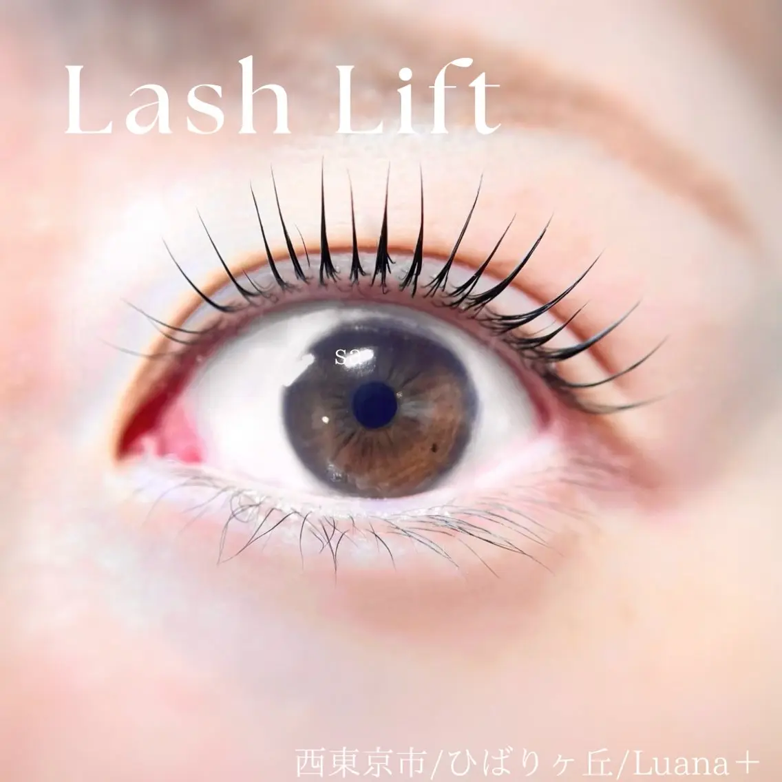 マツエク・マツパ まつげパーマ Luana+ Sayakaの眉毛・アイブロウイメージ