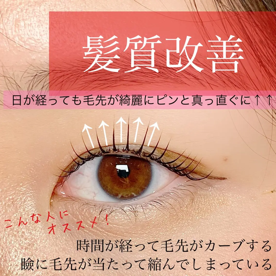 【上まつ毛集中ケア】縮れたまつ毛にハリと艶🙆♀️✨パリジェンヌorパーマ込みの集中ケアしながら髪質改善するメニューの写真