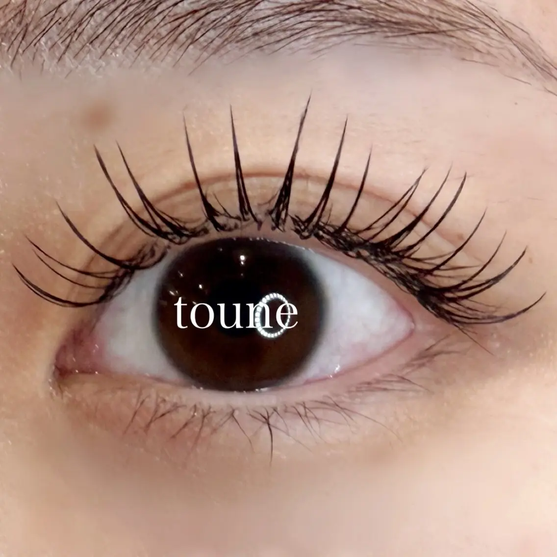 フラットラッシュ120本の写真