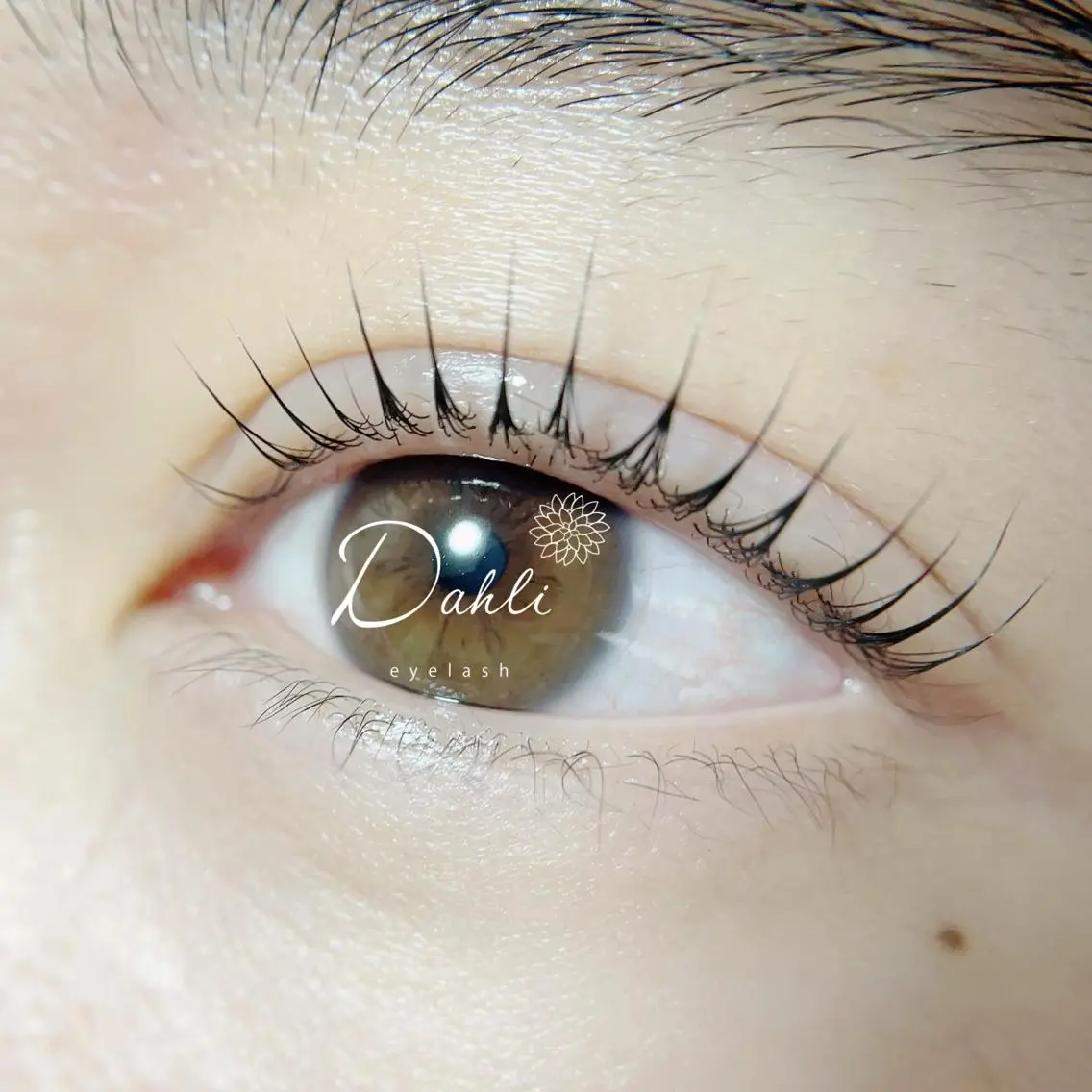 マツエク・マツパ マツパ Dahli eyelashのマツエク・マツパデザイン