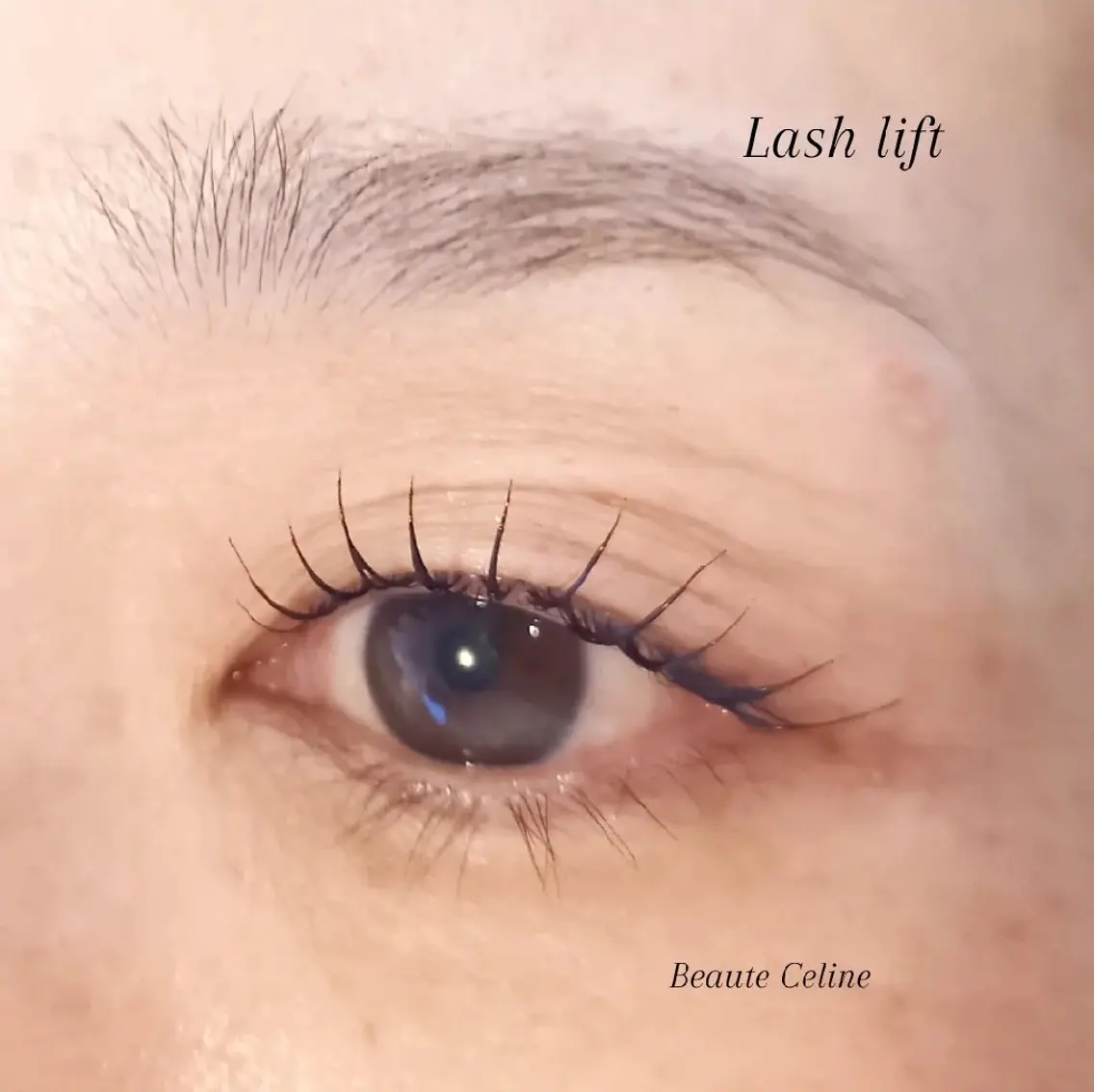 マツエク・マツパ マツパ LED✨beaute Celine🌛🌹のマツエク・マツパデザイン