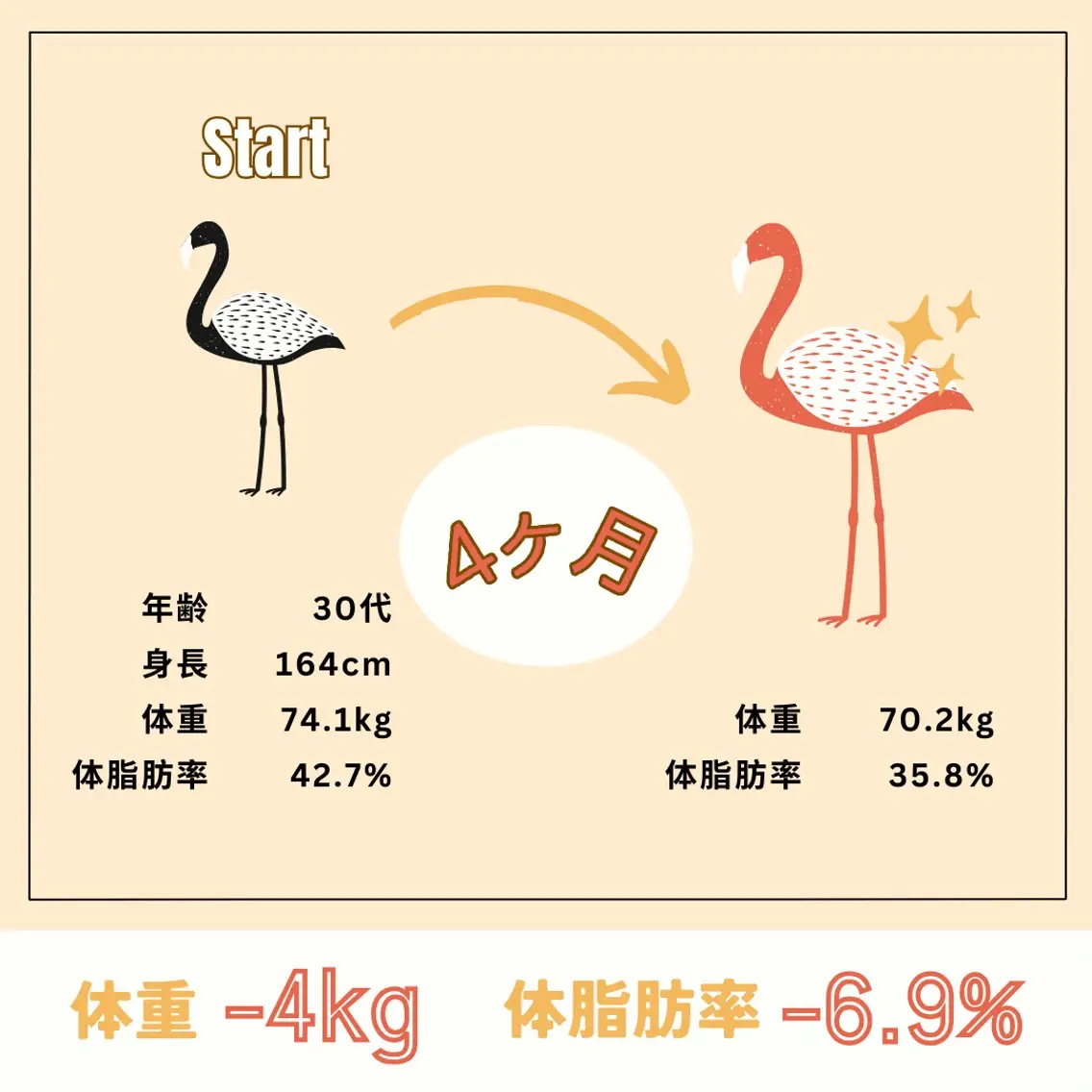 WILLCO のその他イメージ