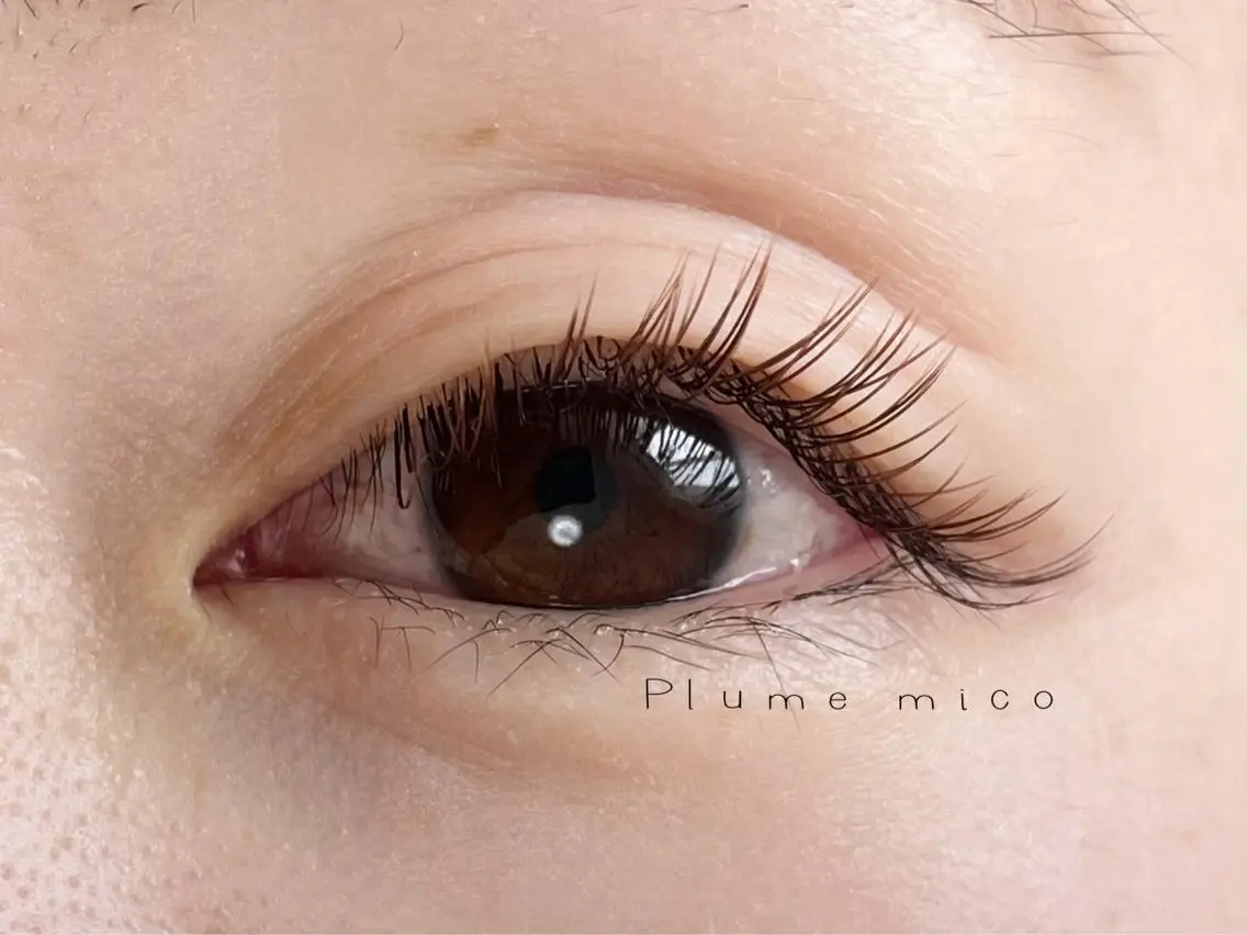 マツエク・マツパ マツエク Plume micoのマツエク・マツパデザイン