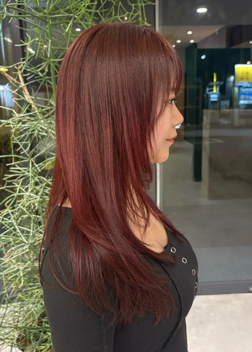 カラー 二次元ウルフ🍒 ボルドーカラー愛希子のヘアスタイル