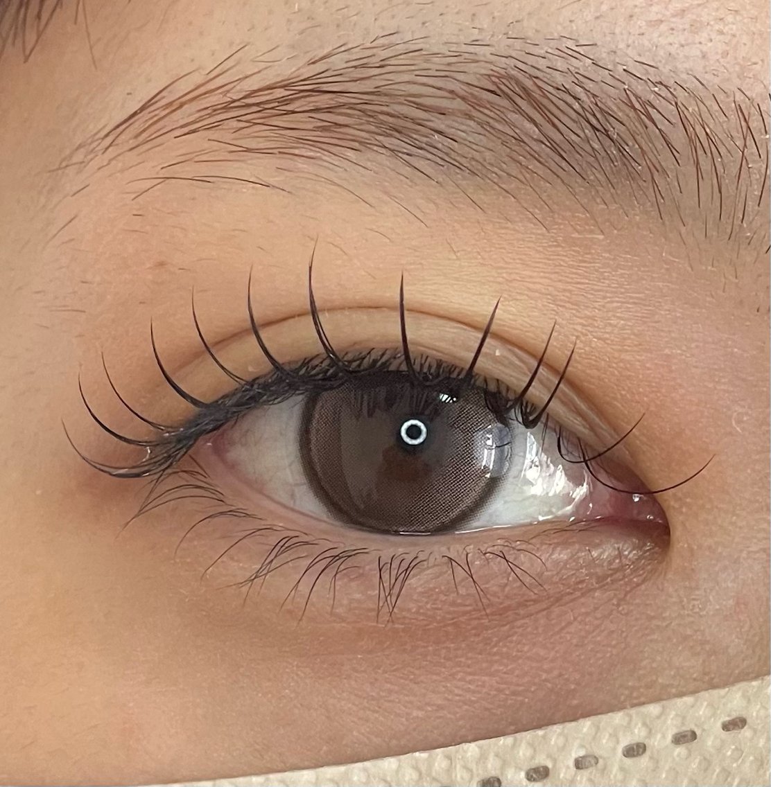 🤎マツエク100本 練習モデル様募集🤎の写真