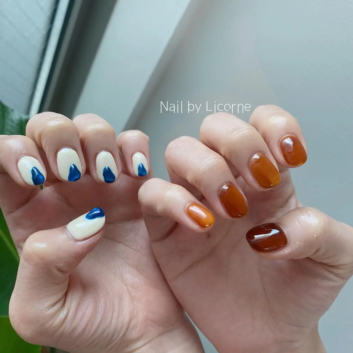 ネイル アートネイル オーロラネイル フレンチネイル 氷ネイル・うるうるネイル マグネットネイル ハンドネイル Nail by Licorneのネイルデザイン