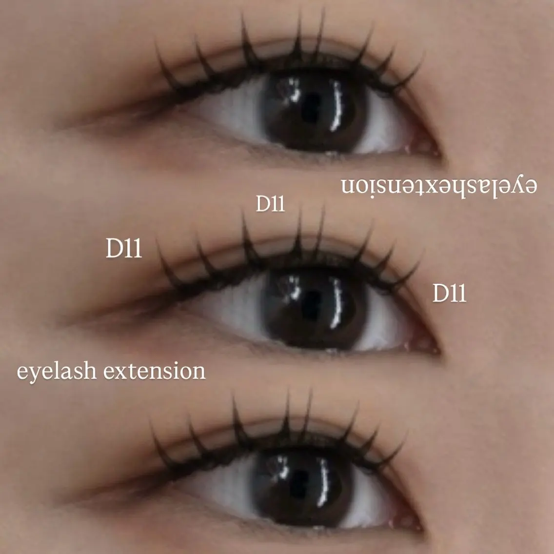 アイブロウ LaBless 🌺Aoi🌺の眉毛・アイブロウイメージ