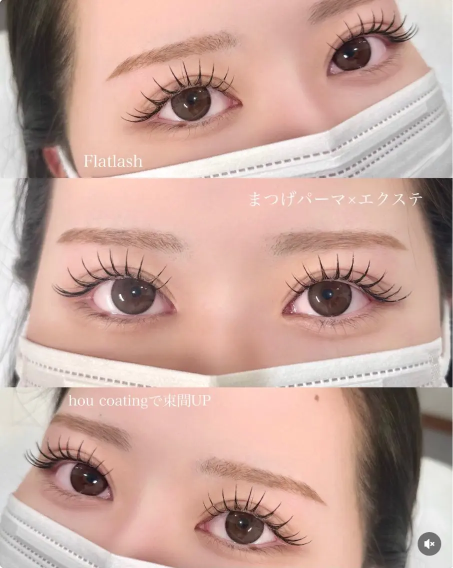 パリエク（LED）80本の写真