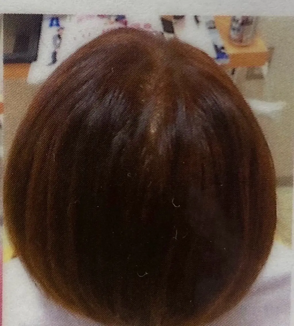 【100%天然成分配合】ヘナカラー・Sの写真