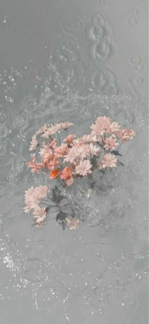 🌼パリジェンヌラッシュリフトorラッシュリフト🌼（補足説明お読み下さい）の写真