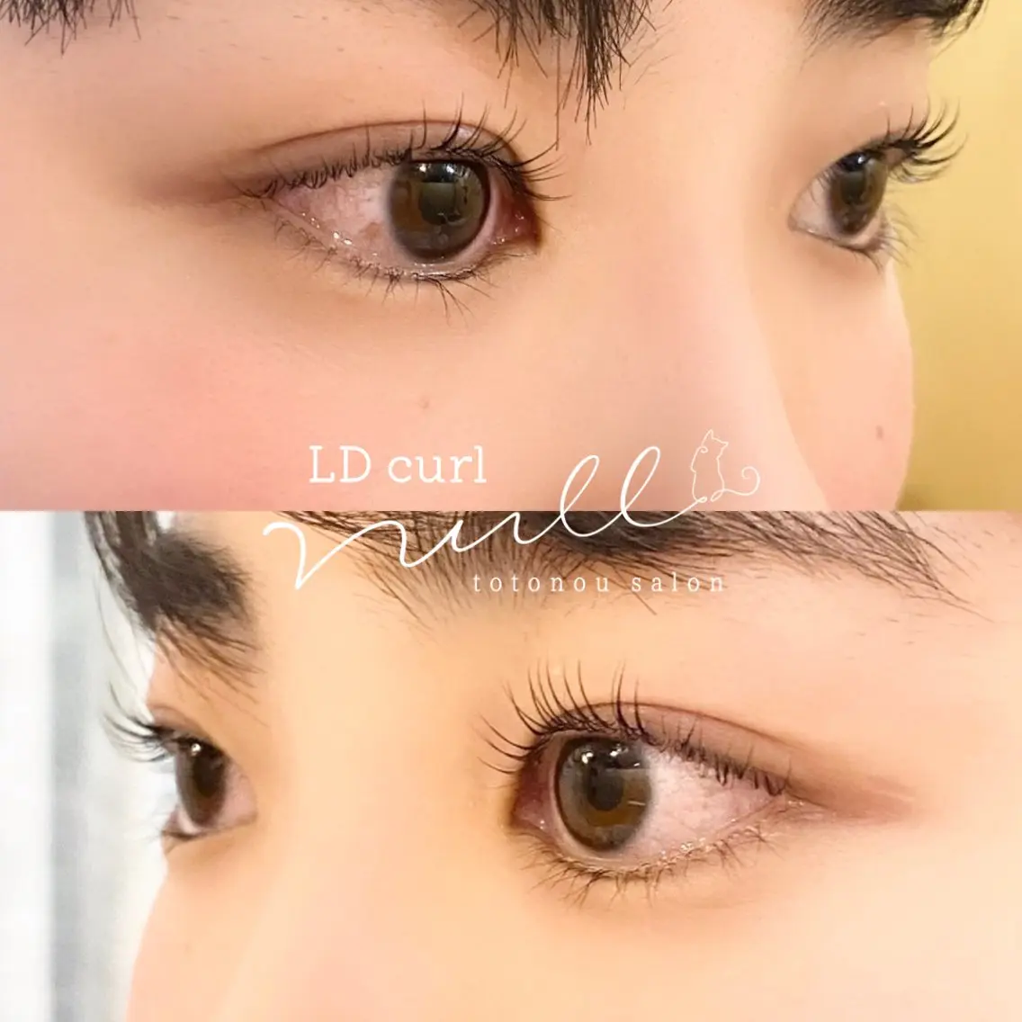 ラッシュリフトの写真