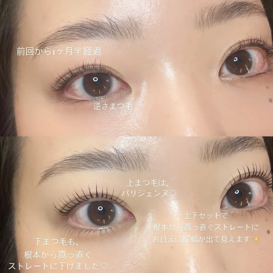 マツエク・マツパ パリジェンヌラッシュリフト 下まつげエクステ マツパ seReno KOHAKUの眉毛・アイブロウイメージ