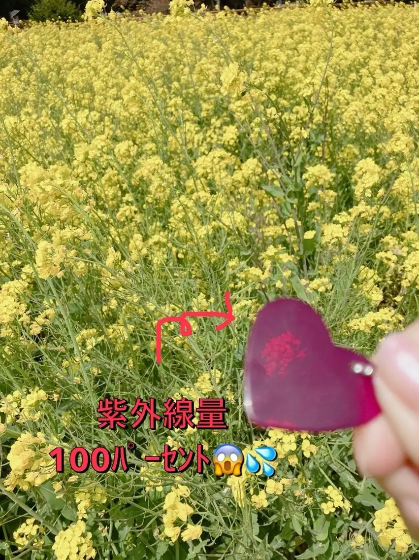メナード熊本 嘉島のその他イメージ