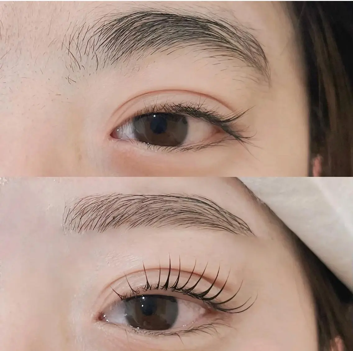 【 NEW/眉毛スタイリング 】アイブロウWAXスタイリング＋まつげパーマ￥8500＋指名料¥300 ※オフ不可※の写真