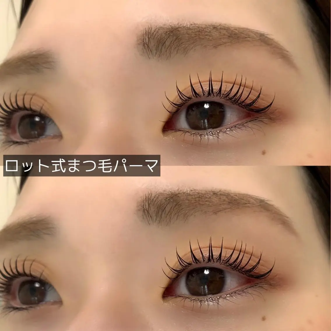 トリートメント付き‼︎ロッド式ㅤまつげパーマの写真