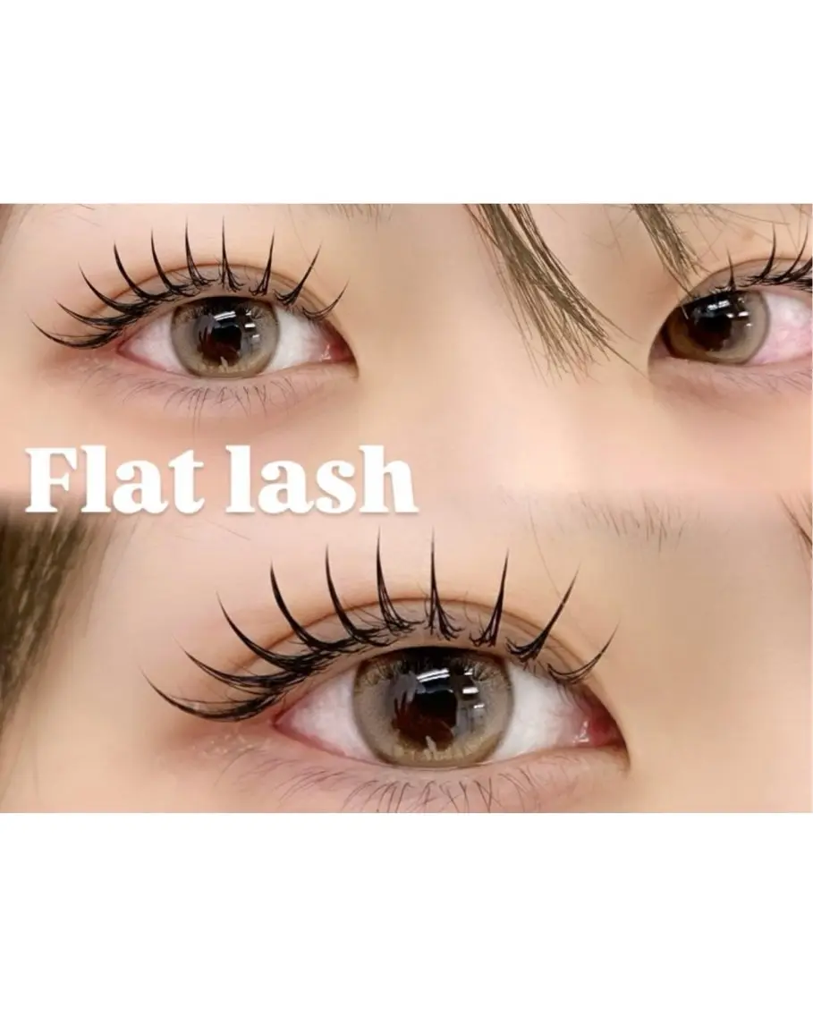 フラットラッシュ🌻【100本】の写真