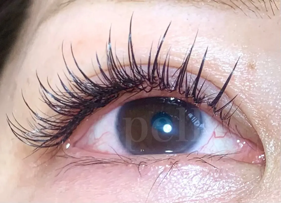 マツエク・マツパ spell eyelashのマツエク・マツパデザイン