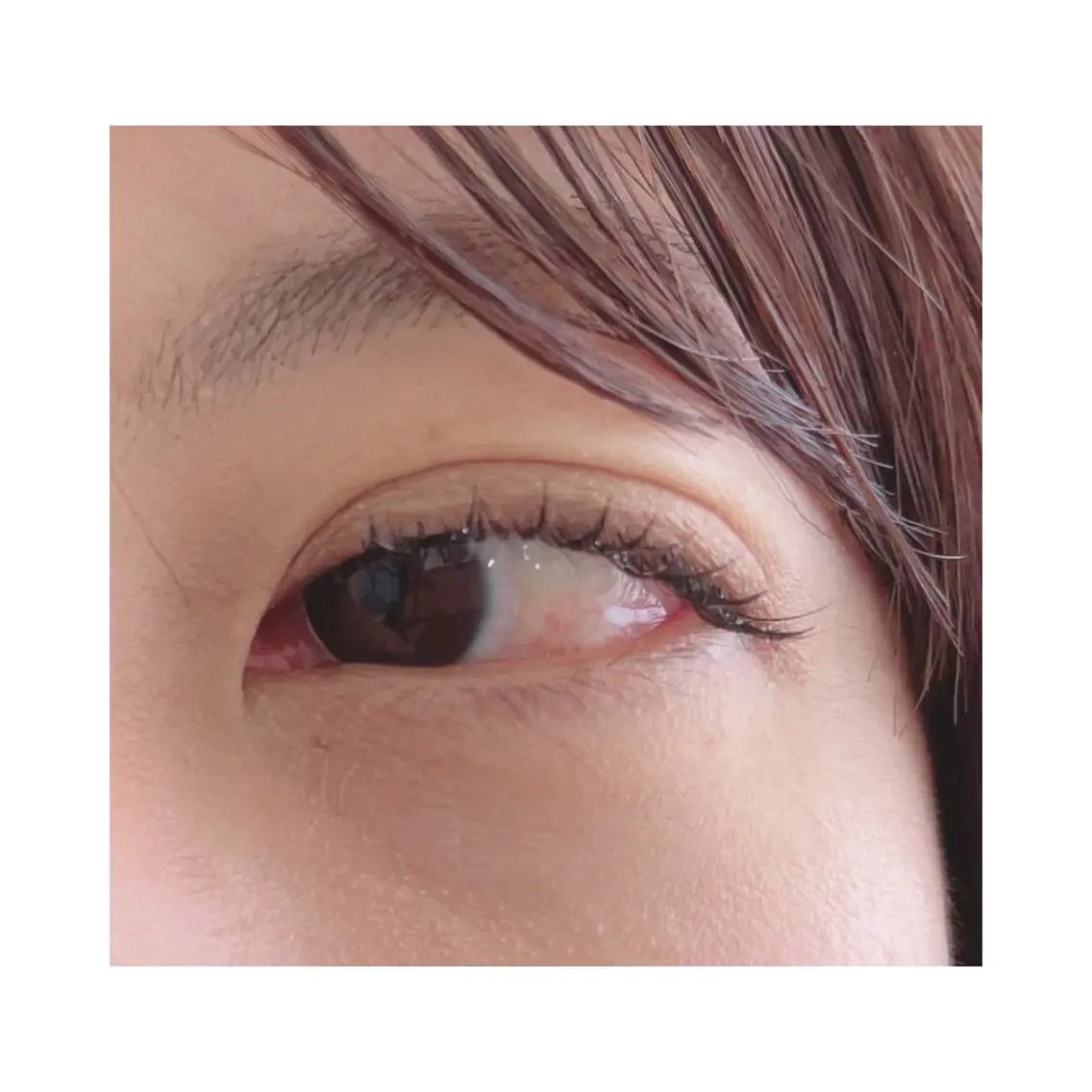 minimo限定❕フラットラッシュ100本＋コーティング付き（オフ別途）の写真