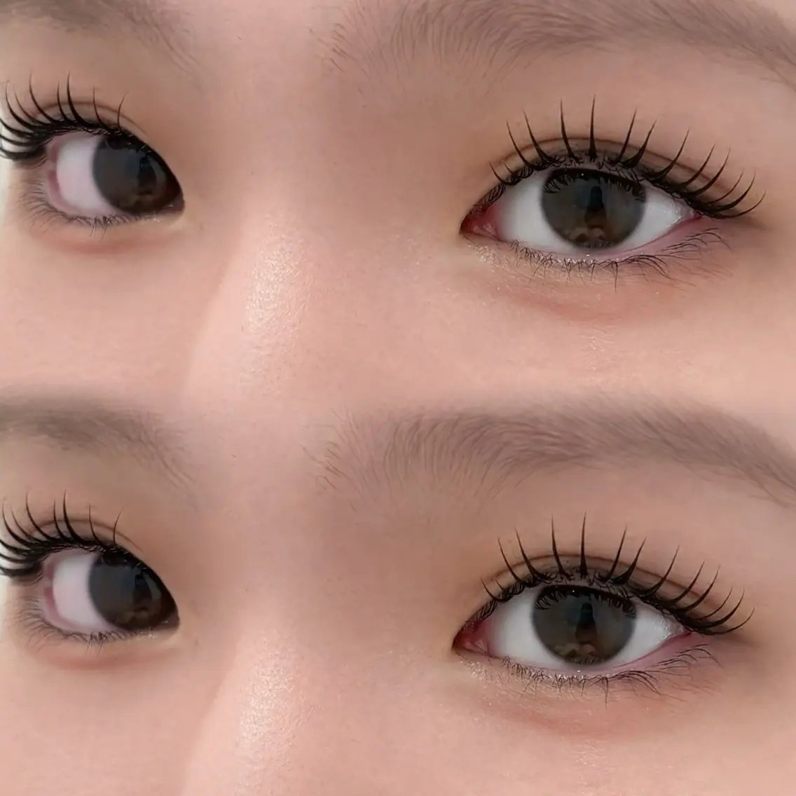 【濃さ×束感】マスカラパーマ🩵ブラックコーティング仕上げの写真