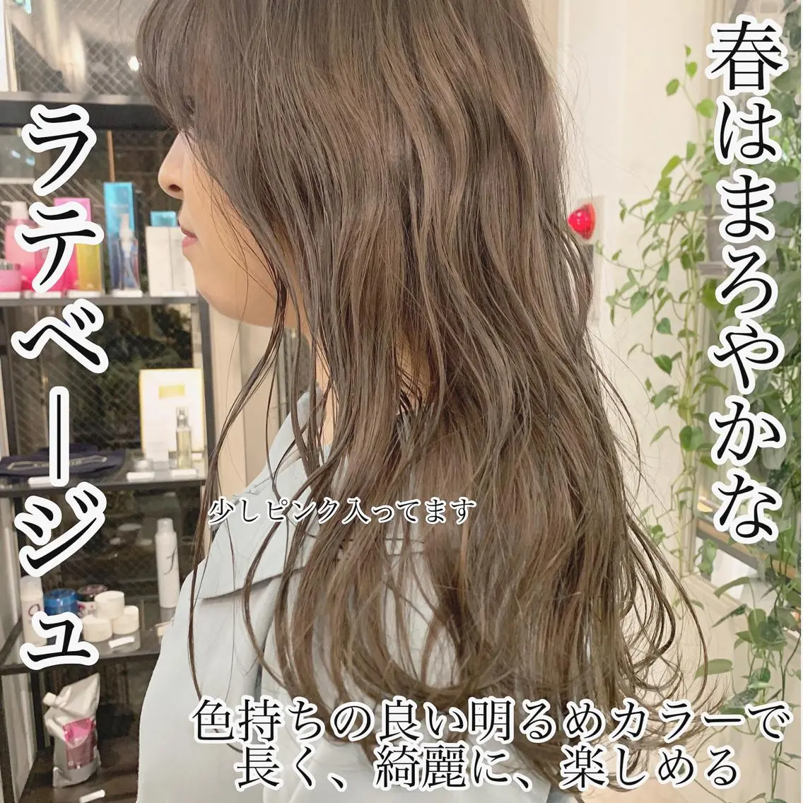 ショート カラー ハイトーンボブ 前田 表参道　グレージュのヘアスタイル