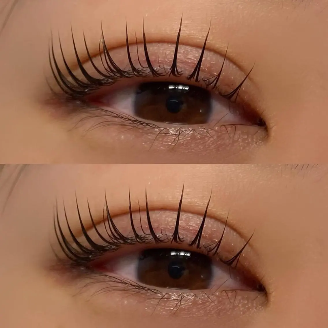 マツエク・マツパ パリジェンヌラッシュリフト まつげパーマ Lebon eye serina🦋のマツエク・マツパデザイン