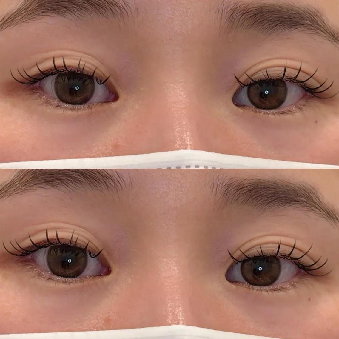 フラットプラス60セットの写真