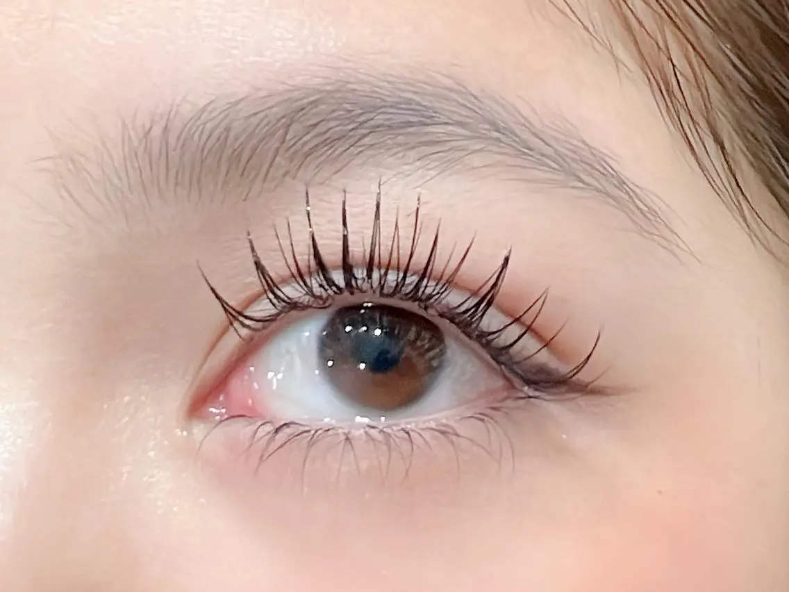 🎀超軽量フラットラッシュ　100本の写真