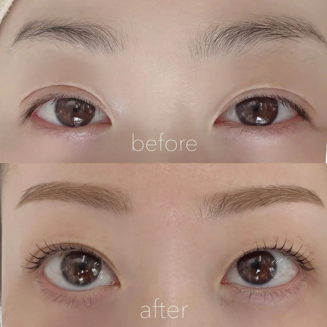 【選べるデザイン】まつげパーマ＋美眉デザインwaxの写真