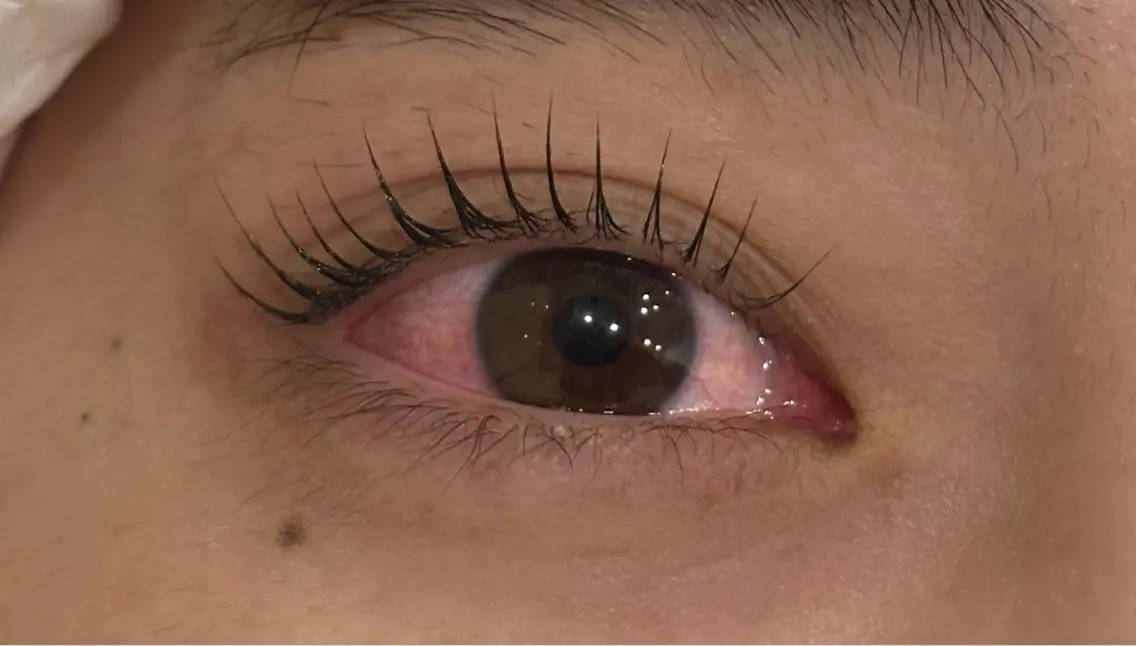 マツエク・マツパ Daisy Lash 土師のマツエク・マツパデザイン