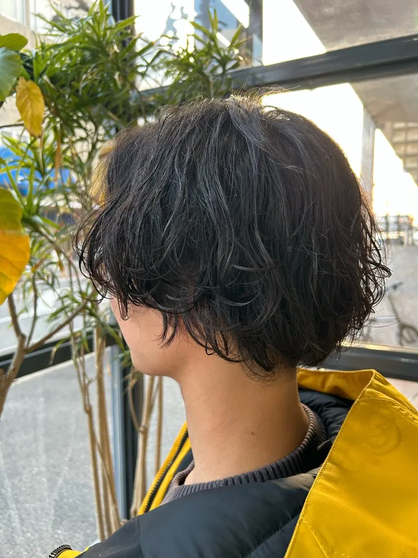 ショート メンズ カット パーマ 的場 勇唯翔のヘアスタイル