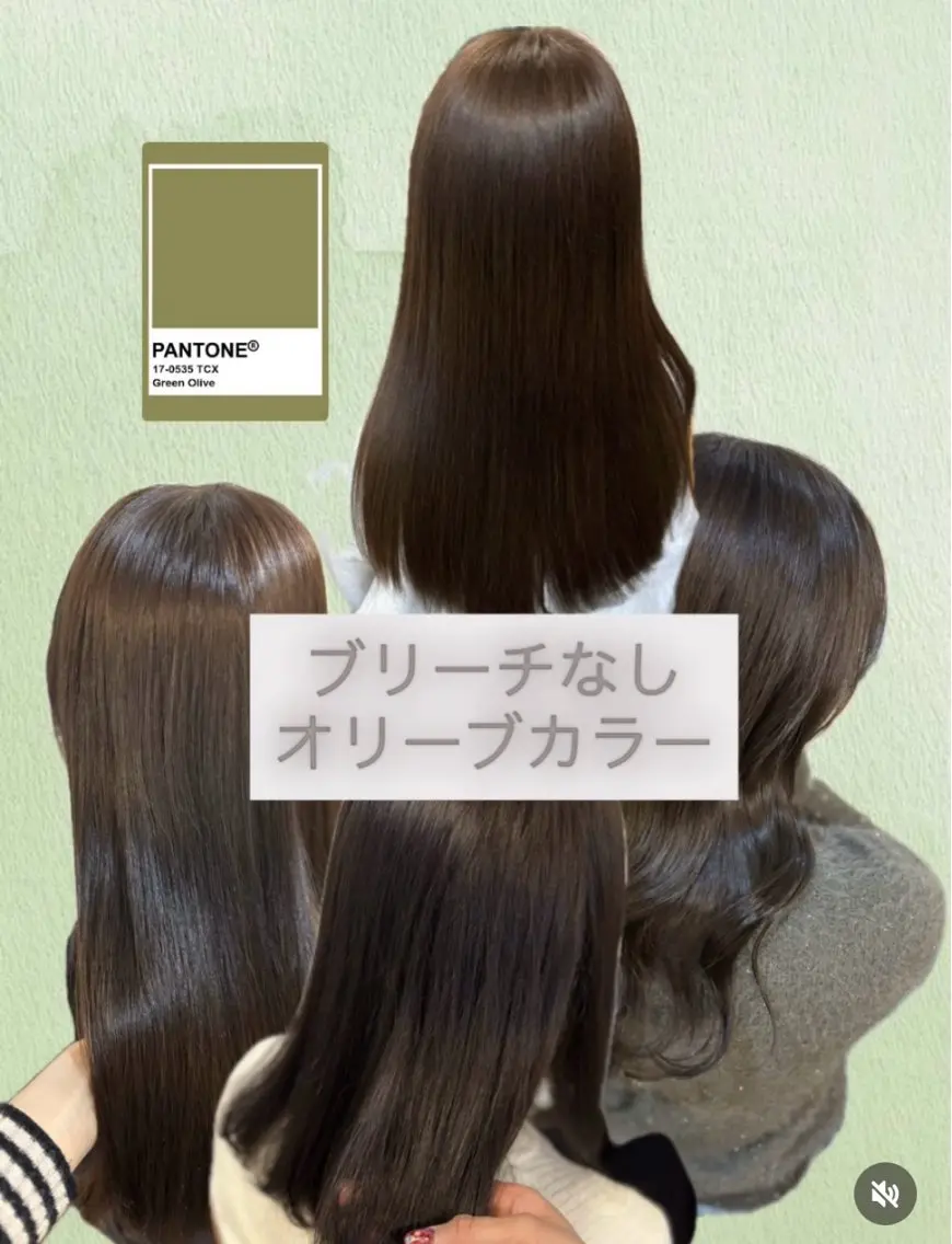 カラー オリーブカラー 山本なつみ/透明感 /レイヤー/ブリーチのヘアスタイル