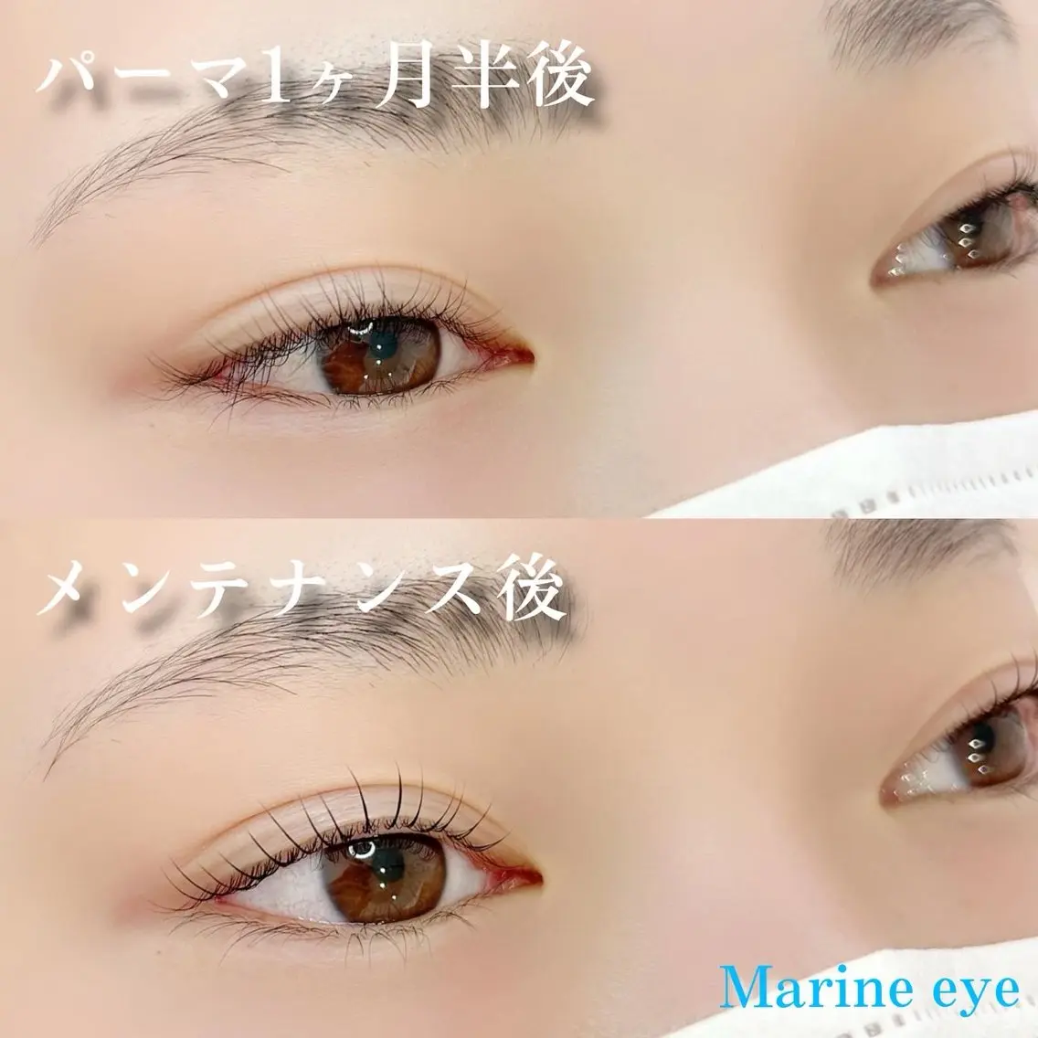 マツエク・マツパ バインドロック フラットラッシュ ナチュラル パリジェンヌラッシュリフト まつげパーマ Marine eyeの眉毛・アイブロウイメージ