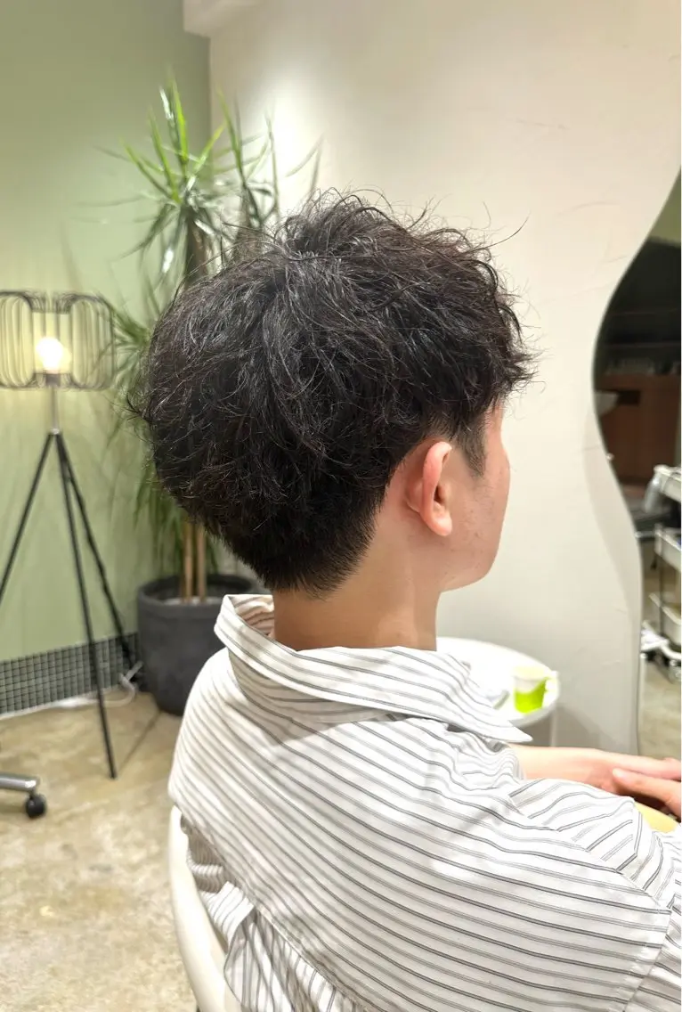 ショート Sabby氏川洸希 パーマのヘアスタイル