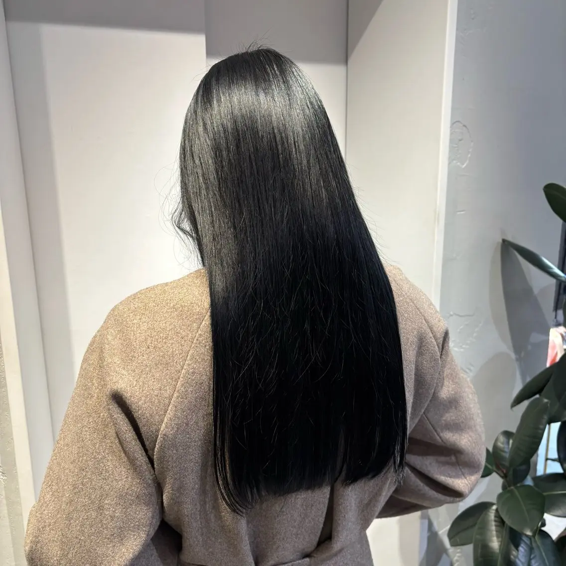 暗髪🖤+髪質改善トリートメントの写真