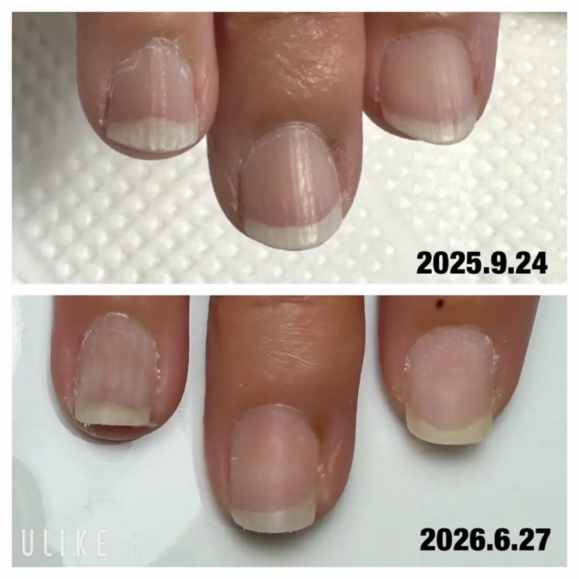 ネイル ハンドネイル Lulu 西田のネイルデザイン