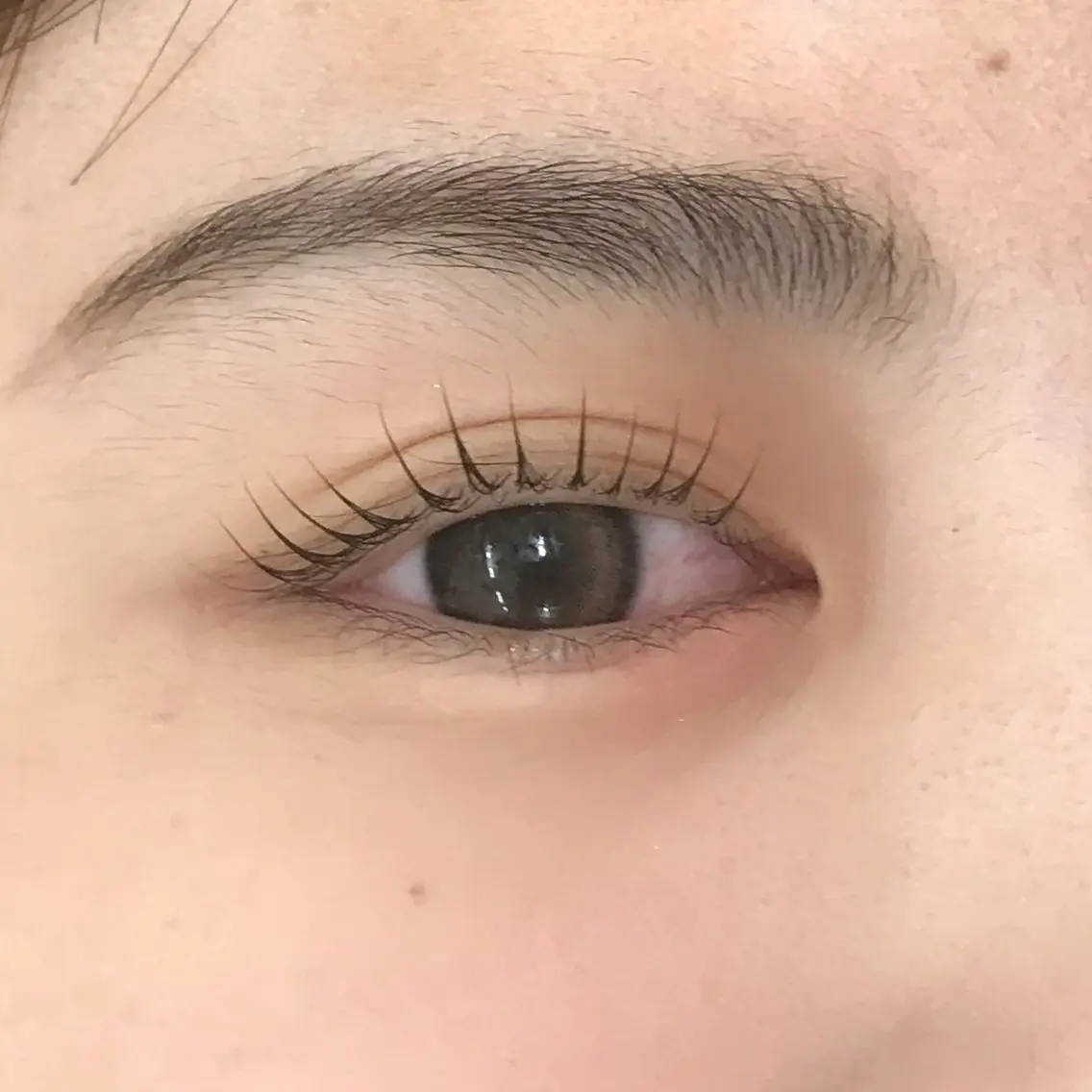 マツエク・マツパ uland yuzuki 💙の眉毛・アイブロウイメージ