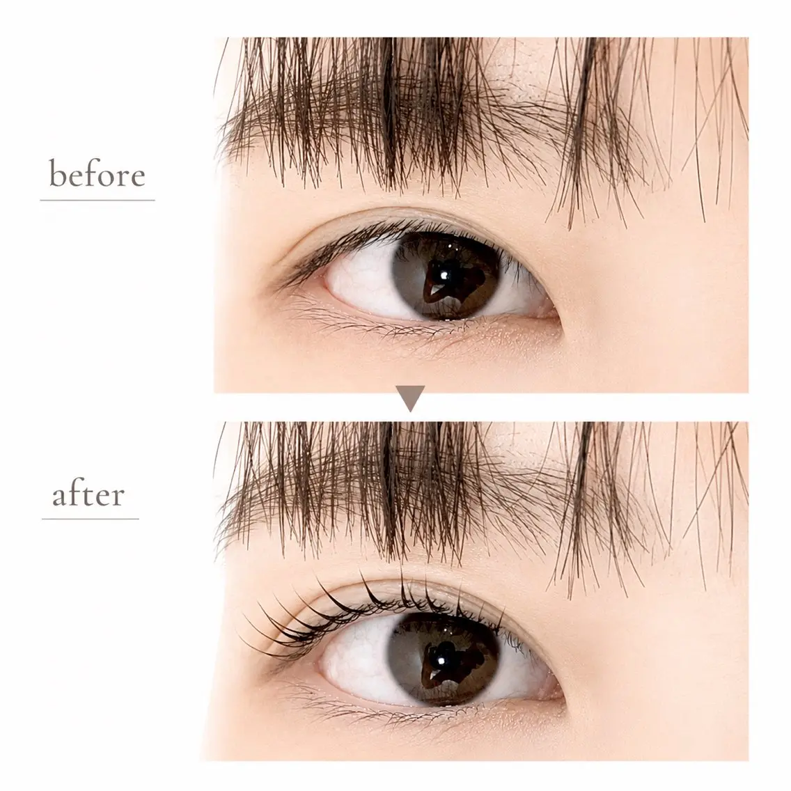 マツエク・マツパ マツパ 🌷LOARK eyelash.梶川のマツエク・マツパデザイン