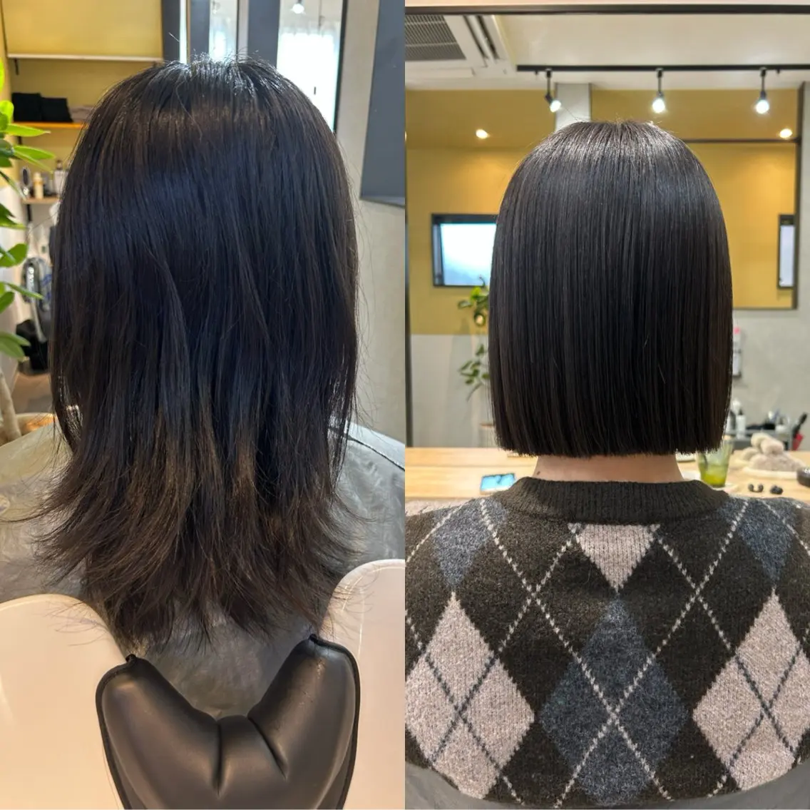 ショート パーマ 髪質改善 ストレートパーマ カット 縮毛矯正 トリートメント hubhair レイヤー/透明感のヘアスタイル