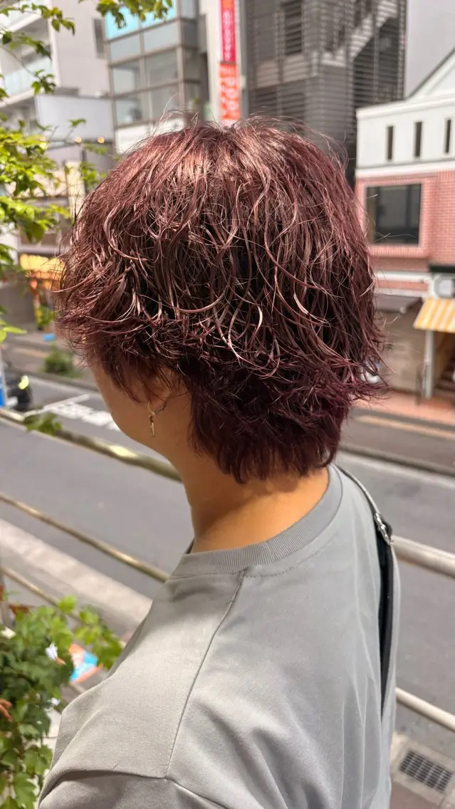 ショート カラー ブリーチ ケアブリーチ ダブルカラー ハイトーンカラー デザインカラー カット/anju🌺のヘアスタイル