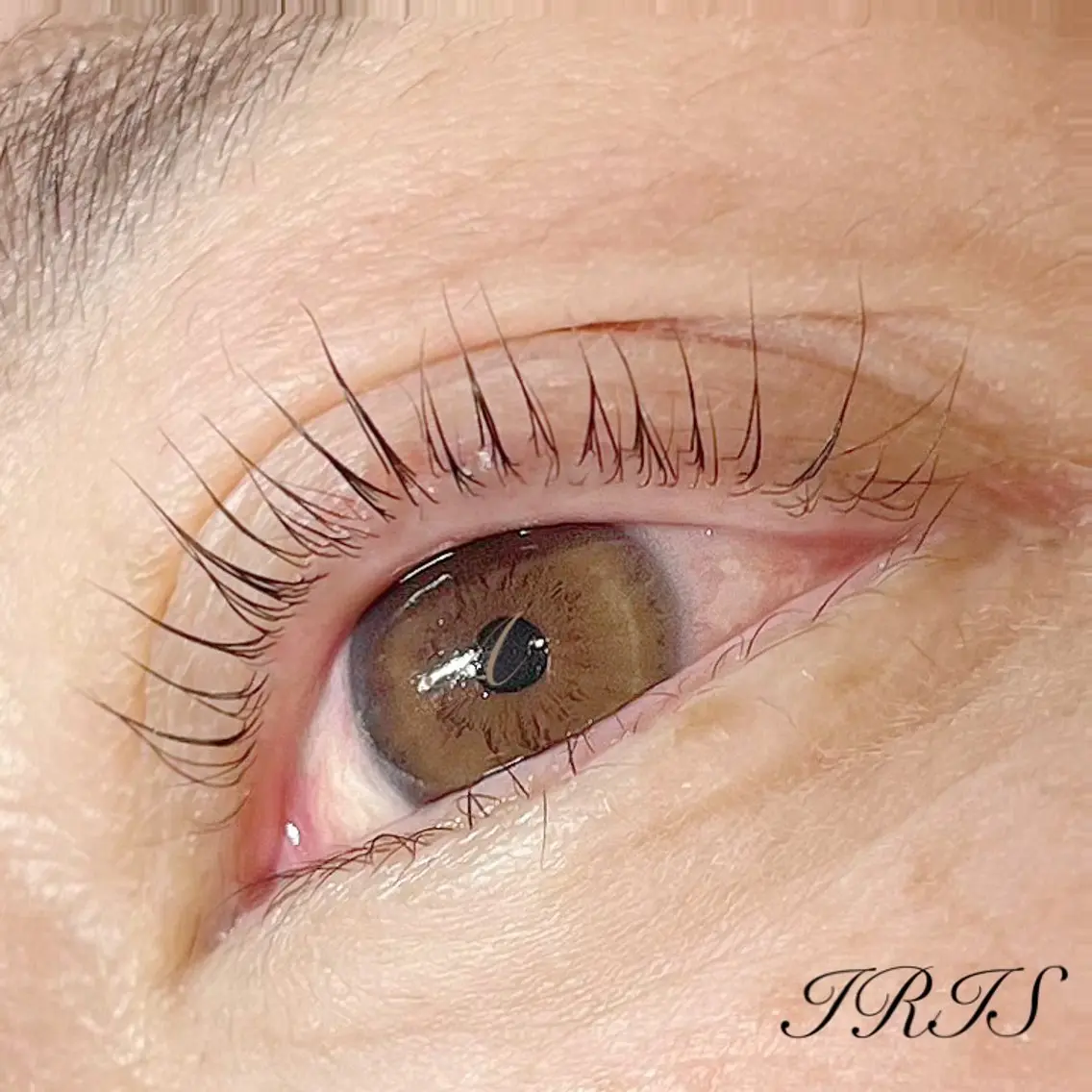 マツエク・マツパ 一重×まつ毛パーマ マツパ IRIS🫧 Ayaのマツエク・マツパデザイン